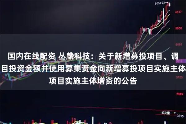 国内在线配资 丛麟科技：关于新增募投项目、调整原募投项目投资金额并使用募集资金向新增募投项目实施主体增资的公告